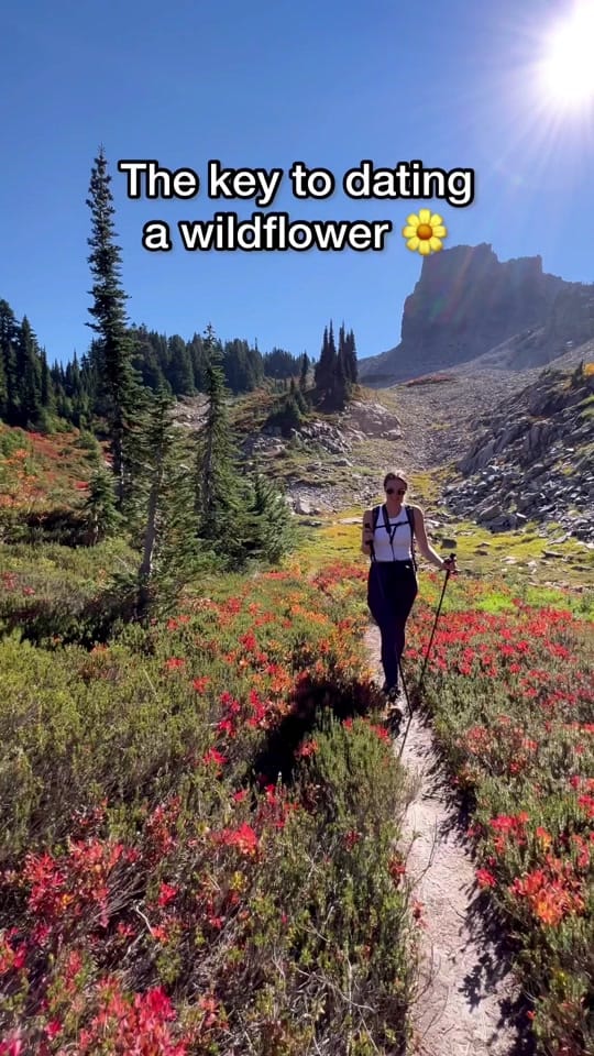 Post 5 by Krista on TikTok (video)