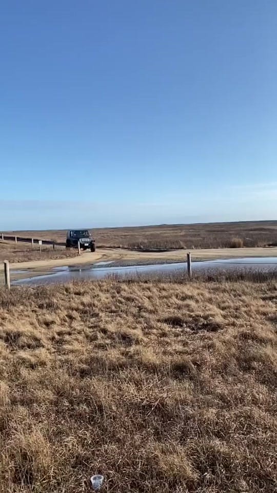 Post 8 by Neil Hrdlick on TikTok (video)