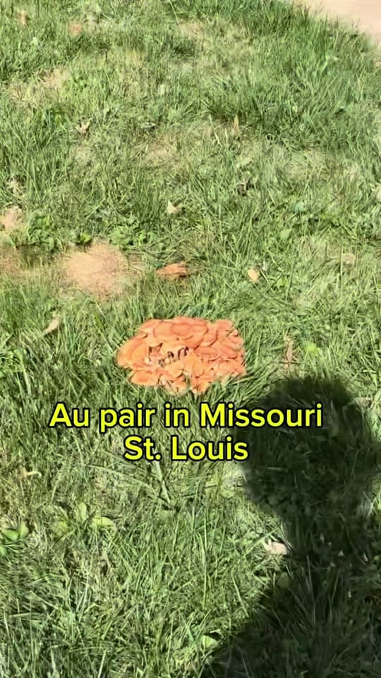 Post 6 by auperitaxoxo on TikTok (video)