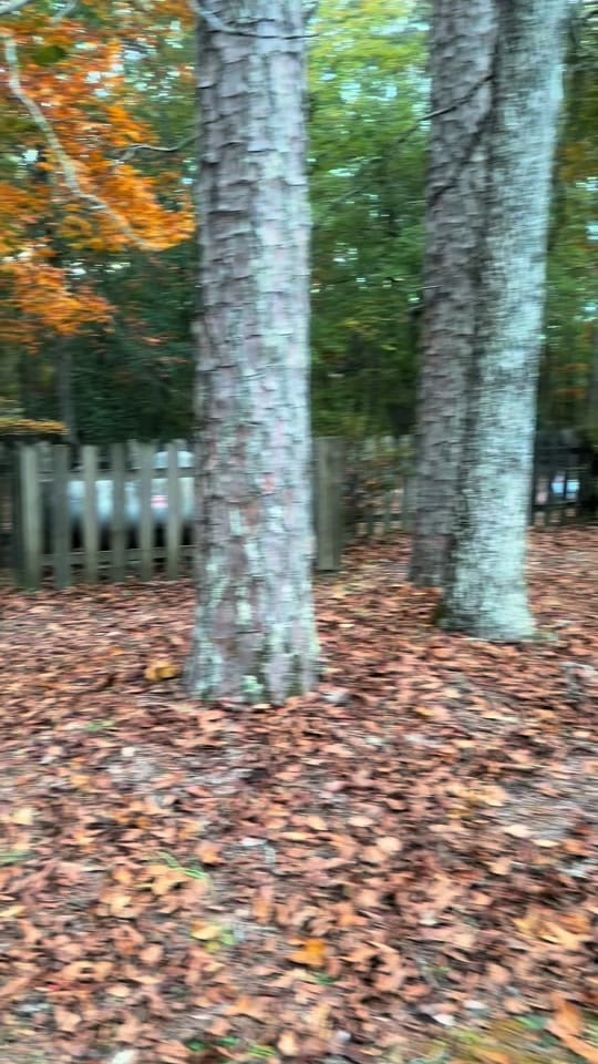 Post 5 by GrayOranges on TikTok (video)