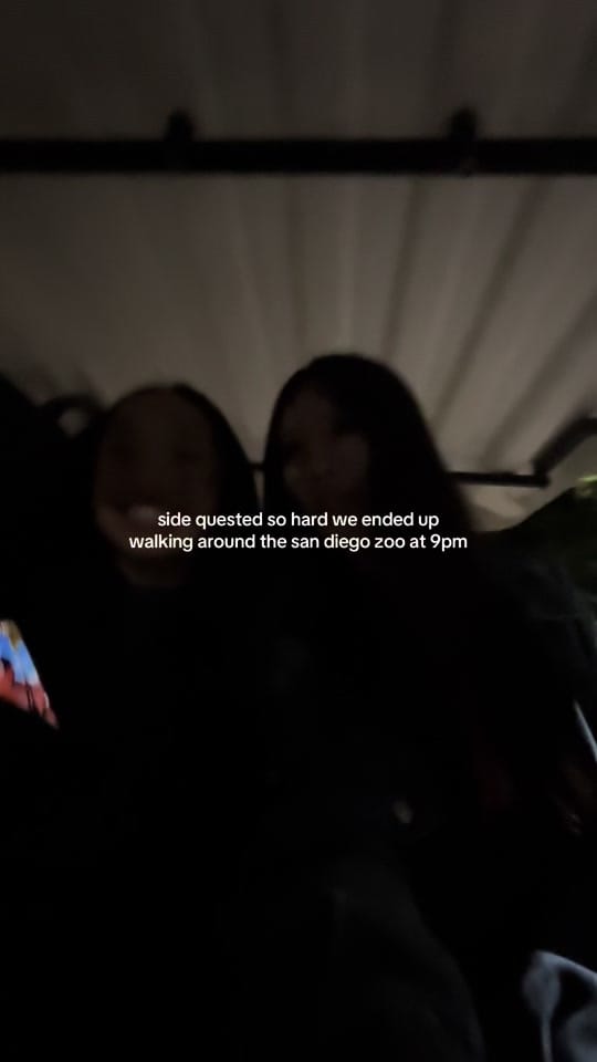 Post 3 by audrey on TikTok (video)