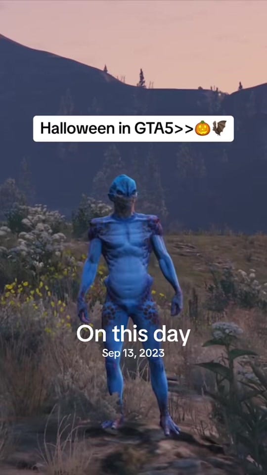 Post 5 by Kurzi on TikTok (video)