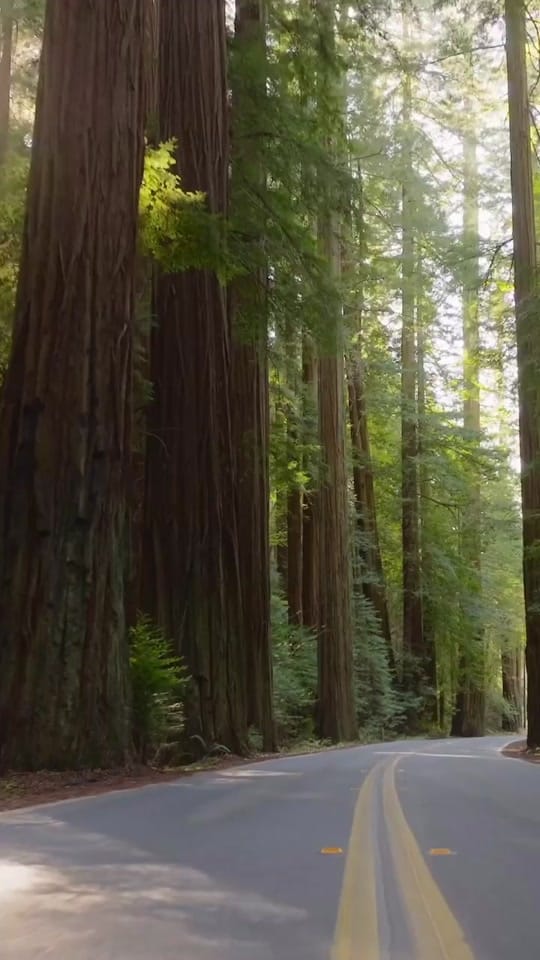 Post 10 by Jess & Drew-Travel & Lifestyle on TikTok (video)