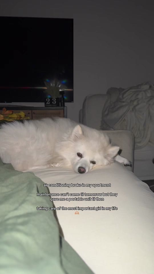 Post 9 by Brenda Bass on TikTok (video)