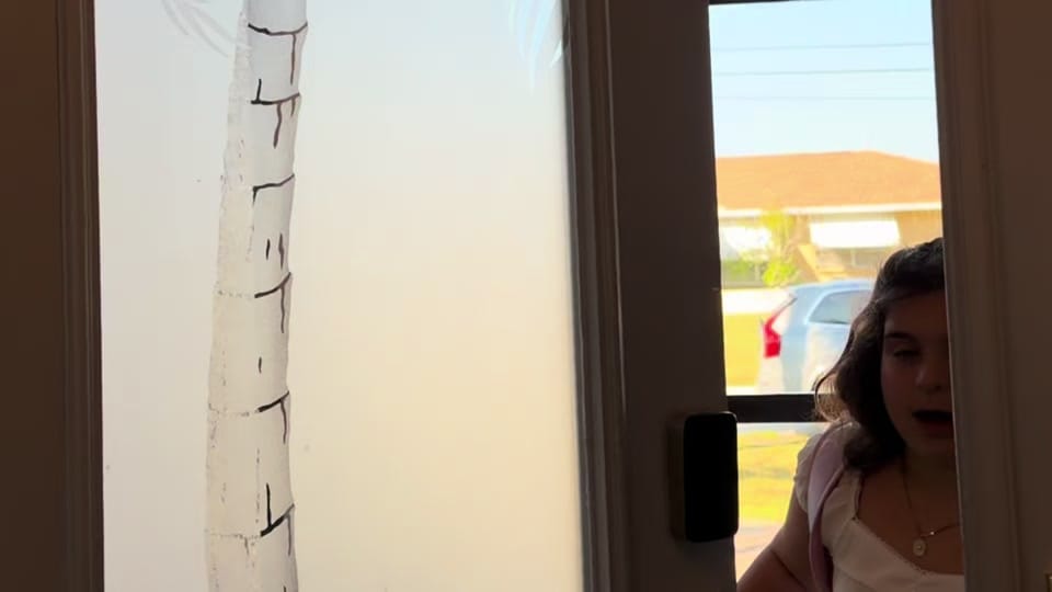 Post 3 by life.as.eda on TikTok (video)