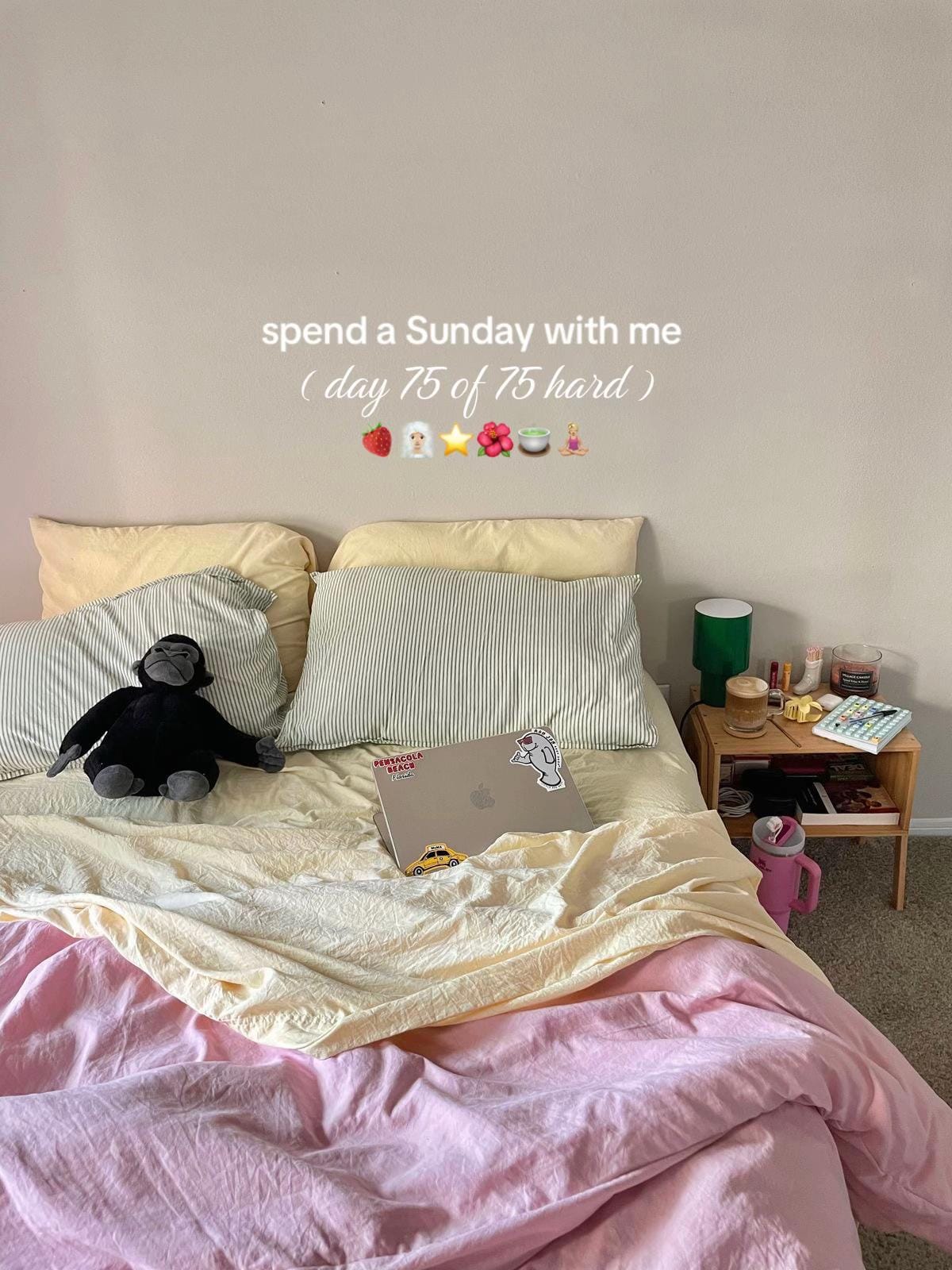 Post 1 by georgia ⭐️ on TikTok (video)