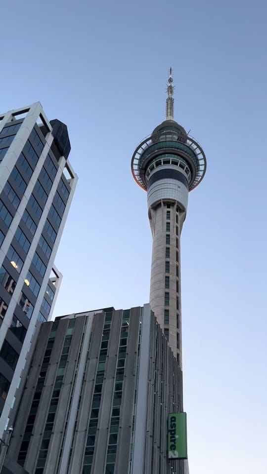 Post 6 by georgia ⭐️ on TikTok (video)