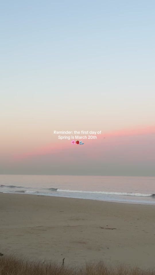 Post 3 by Jess Alexandra on TikTok (video)