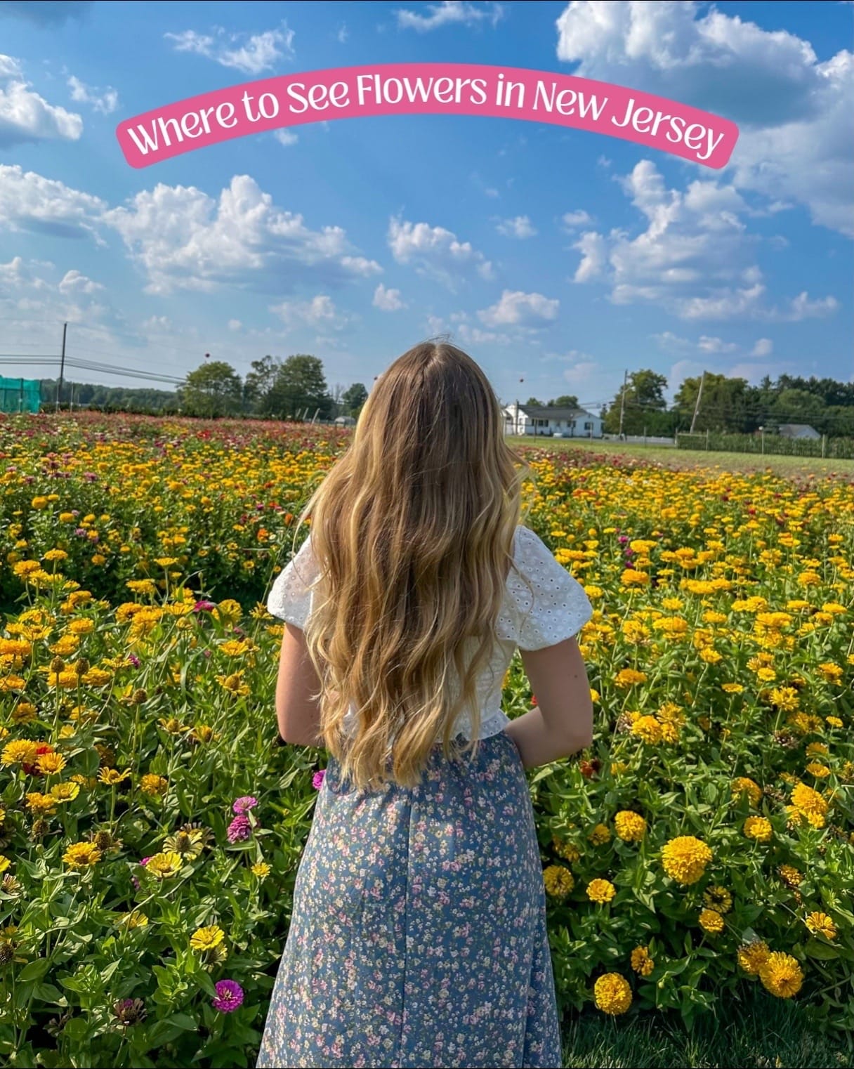 Post 9 by Jess Alexandra on TikTok (video)