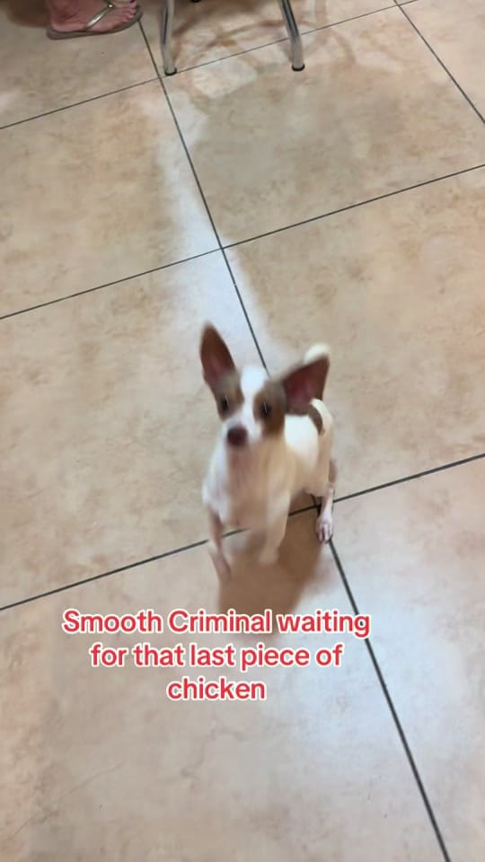 Post 4 by jrokk777 on TikTok (video)