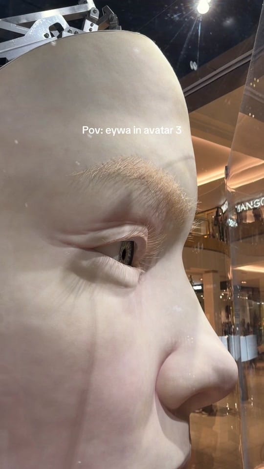 Post 8 by Vy Nguyen on TikTok (video)