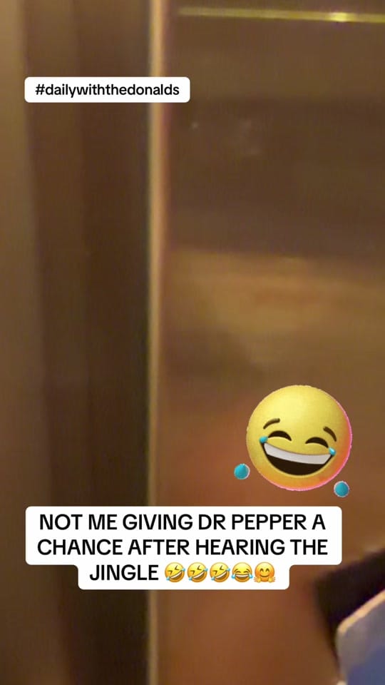 Post 8 by dailywiththedonalds on TikTok (video)