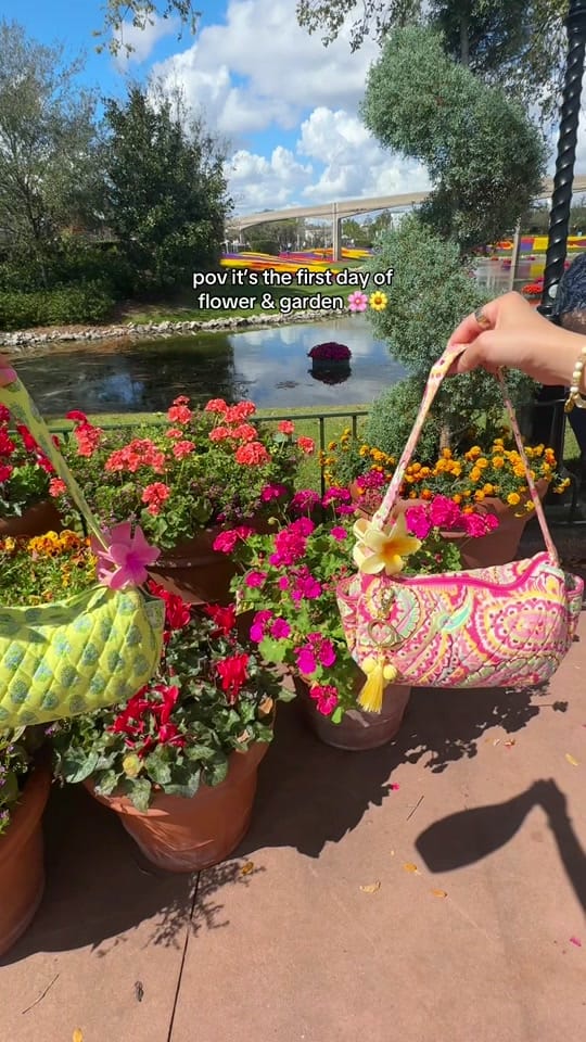 Post 4 by Kayla Lucena on TikTok (video)