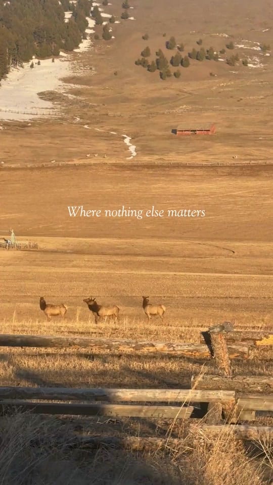 Post 5 by The Ranch at Rock Creek on TikTok (video)