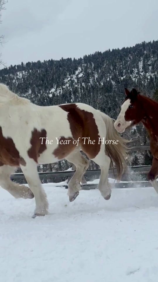 Post 6 by The Ranch at Rock Creek on TikTok (video)