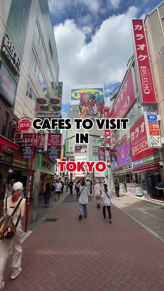 Post 6 by Sammar Husain on TikTok (video)