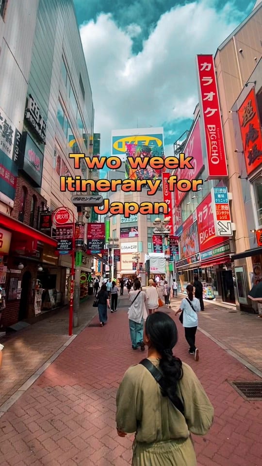 Post 4 by Sammar Husain on TikTok (video)