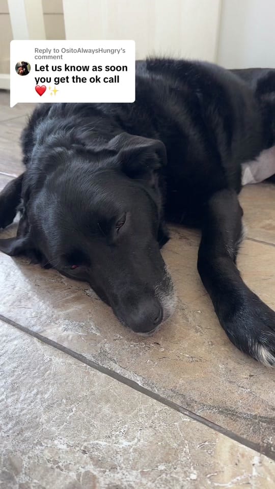 Post 7 by krista_leigh.com on TikTok (video)
