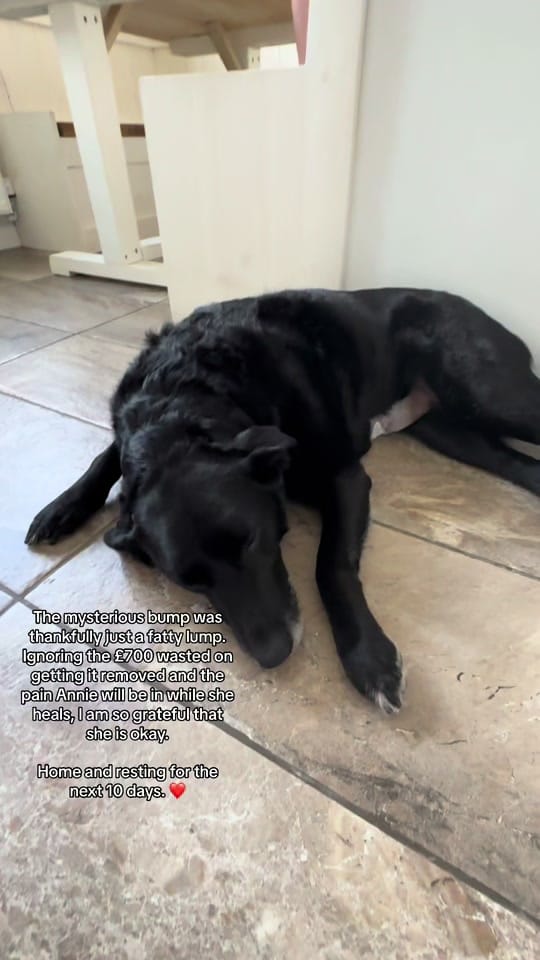 Post 6 by krista_leigh.com on TikTok (video)