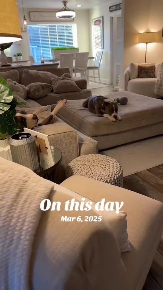 Post 7 by Ali on TikTok (video)