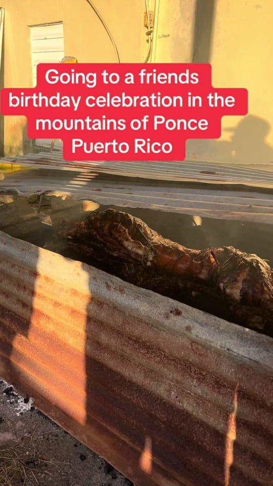 Post 8 by Bridge to PR on TikTok (video)