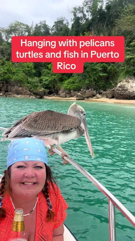 Post 2 by Bridge to PR on TikTok (video)