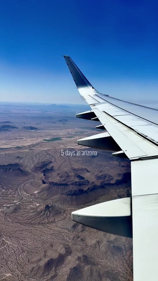 Post 8 by LW. on TikTok (video)