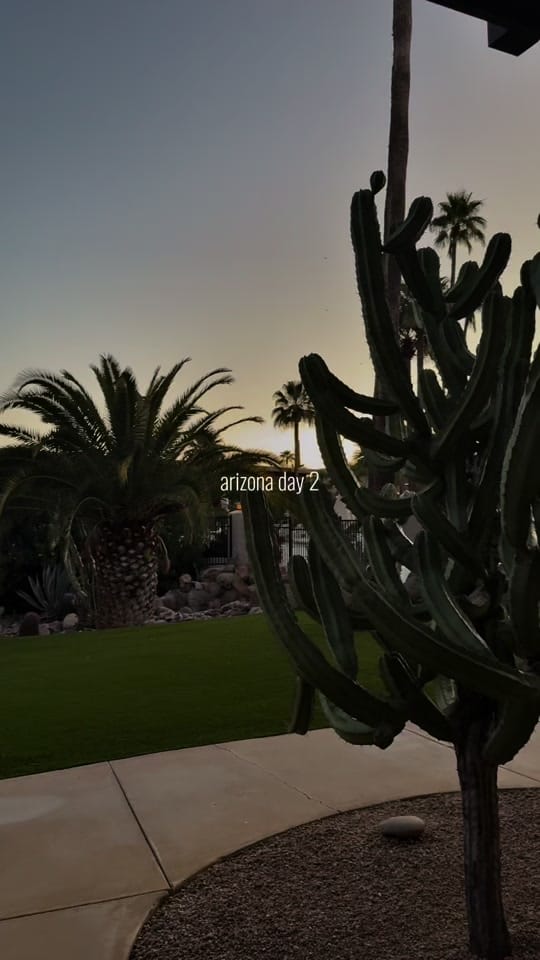 Post 6 by LW. on TikTok (video)