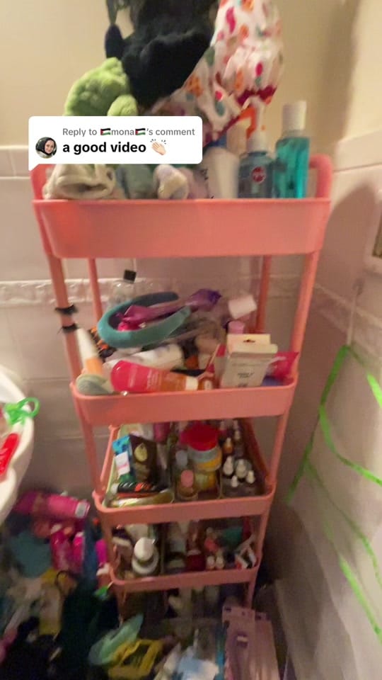 Post 8 by StacyBazilchuck on TikTok (video)
