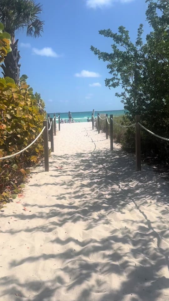 Post 7 by Paola abudlkalek on TikTok (video)