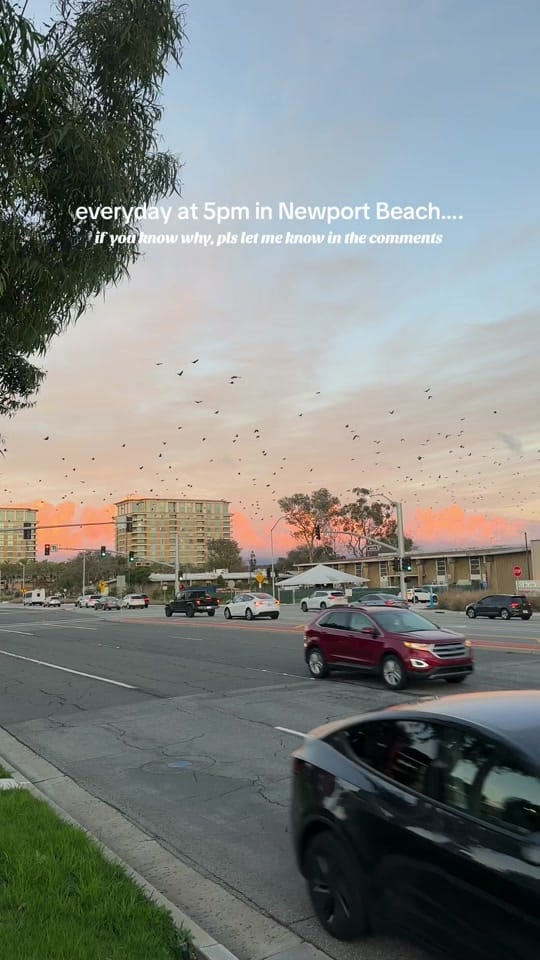 Post 10 by Lena Marie on TikTok (video)