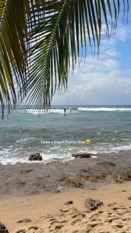 Post 7 by Natalie Compton on TikTok (video)