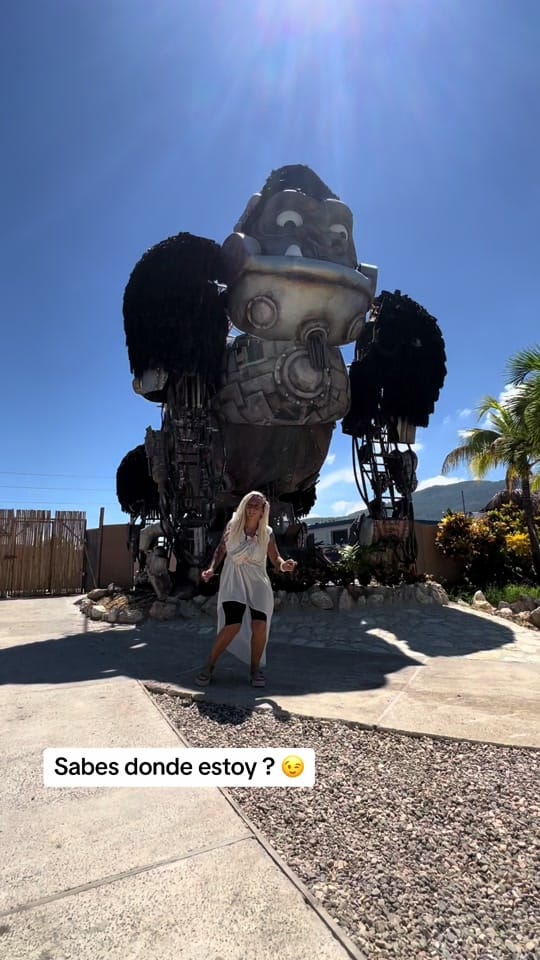 Post 2 by michelle_ugc_creator_ on TikTok (video)