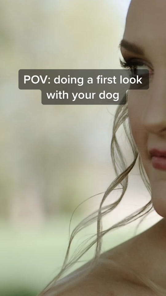 Post 2 by Wedding Videography on TikTok (video)