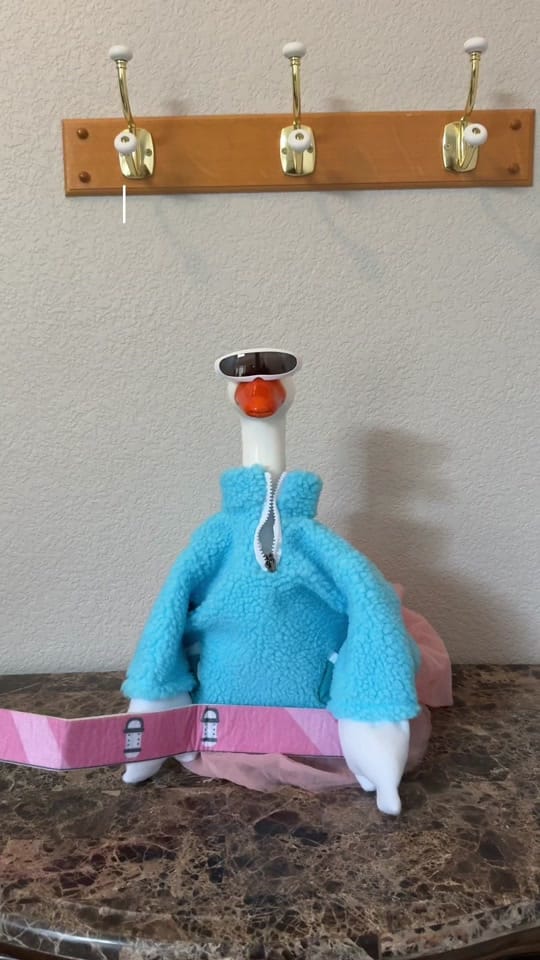 Post 5 by The Corgi Palace on TikTok (video)
