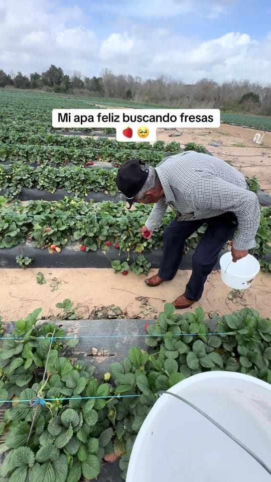 Post 2 by Aurelio Vasquez on TikTok (video)
