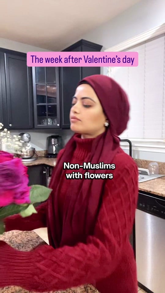 Post 5 by Rabia M. Baig on TikTok (video)