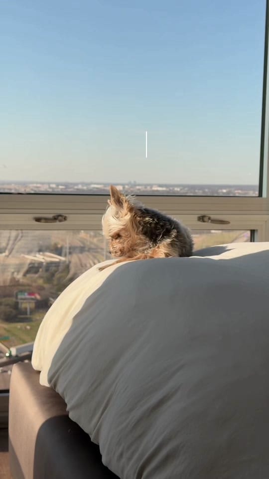 Post 9 by Meghan Gamil on TikTok (video)