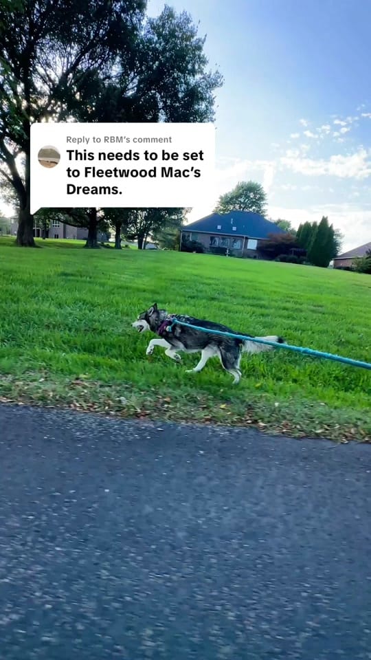 Post 4 by Josh Seeks Life on TikTok (video)