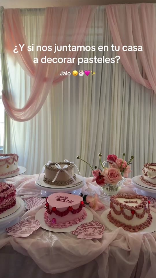 Post 4 by Viridiana on TikTok (video)