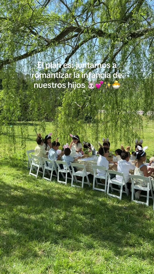 Post 9 by Viridiana on TikTok (video)