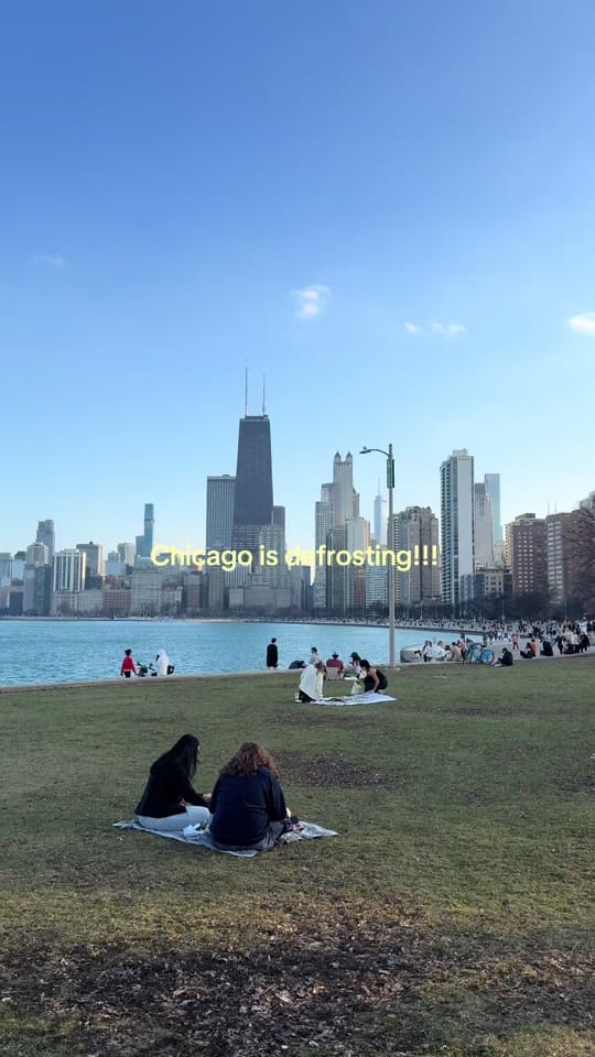 Post 6 by Violet Harper🪽 on TikTok (video)
