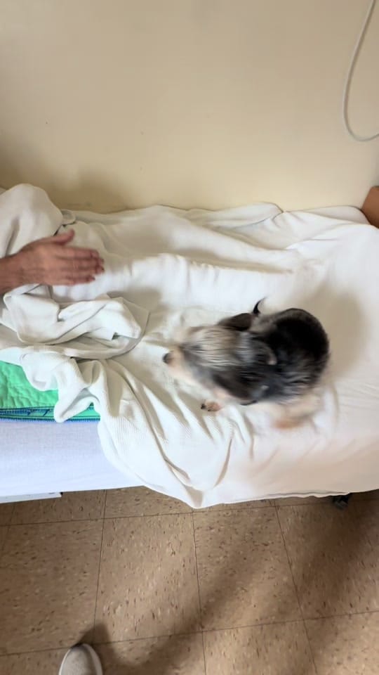 Post 2 by Diana Rodrig on TikTok (video)