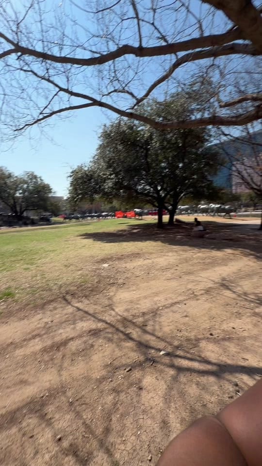 Post 1 by Kayla | Dallas Creative on TikTok (video)