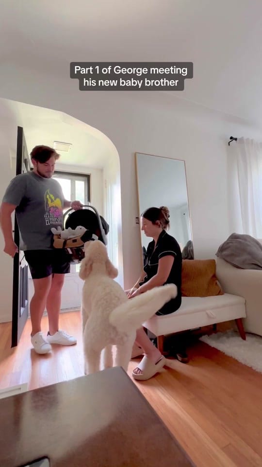 Post 9 by mallorywarnerfischer on TikTok (video)