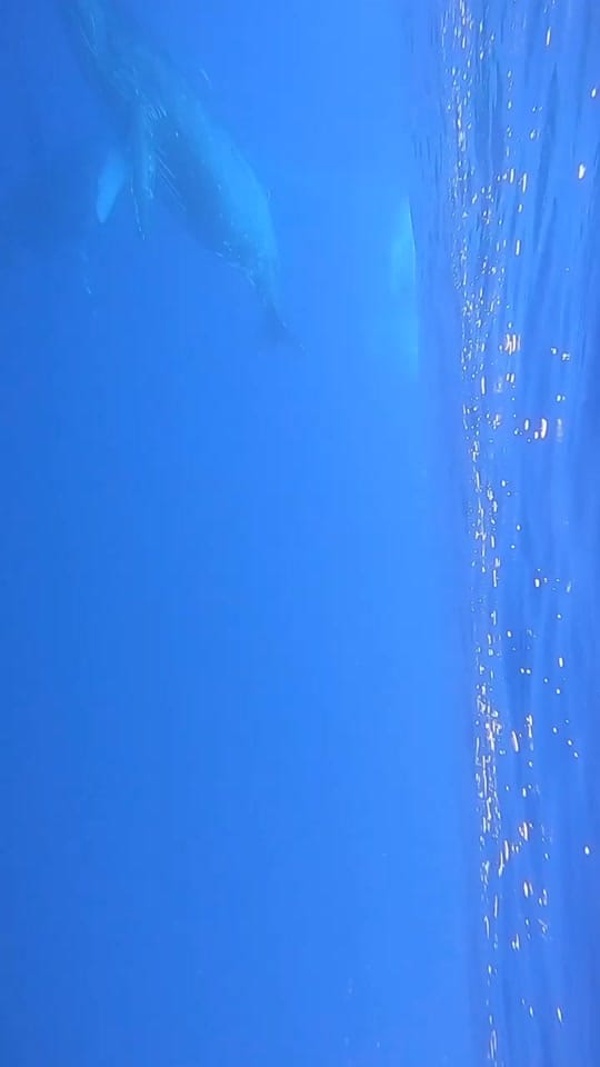 Post 2 by Kyle Tavares | Travel on TikTok (video)