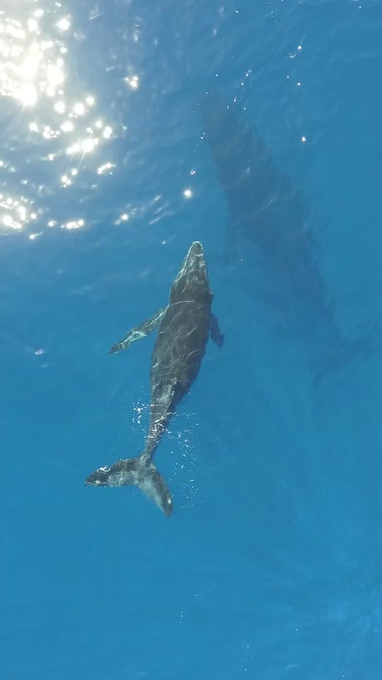 Post 3 by Kyle Tavares | Travel on TikTok (video)