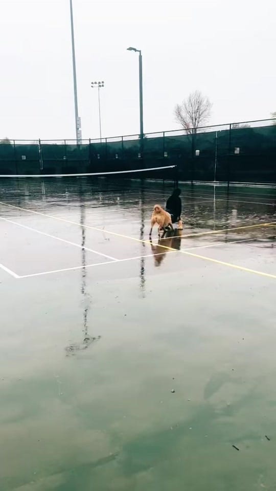 Post 5 by Zeus and Harper Adventures on TikTok (video)
