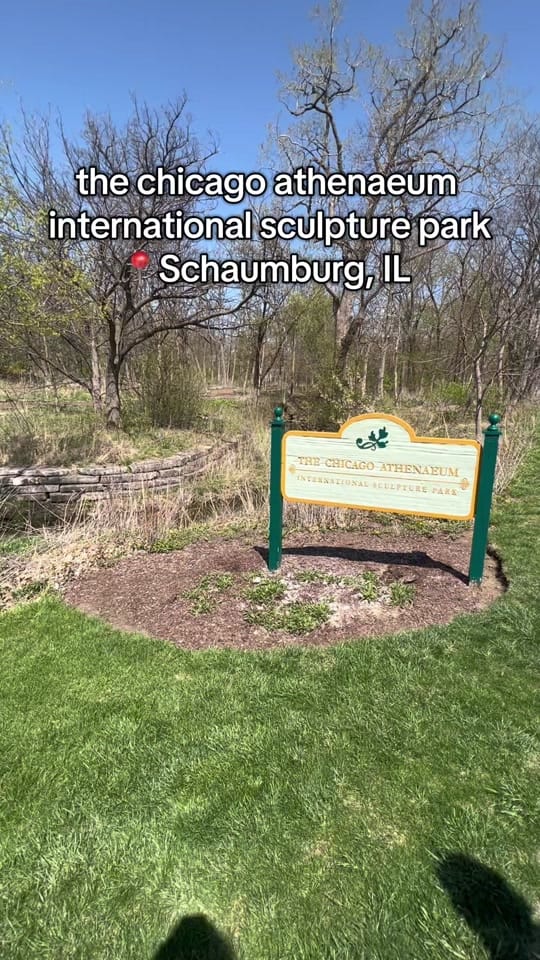 Post 6 by Steph G on TikTok (video)