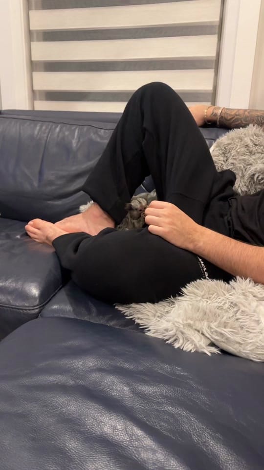 Post 1 by chrisankawi on TikTok (video)